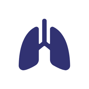 Graphic of lungs