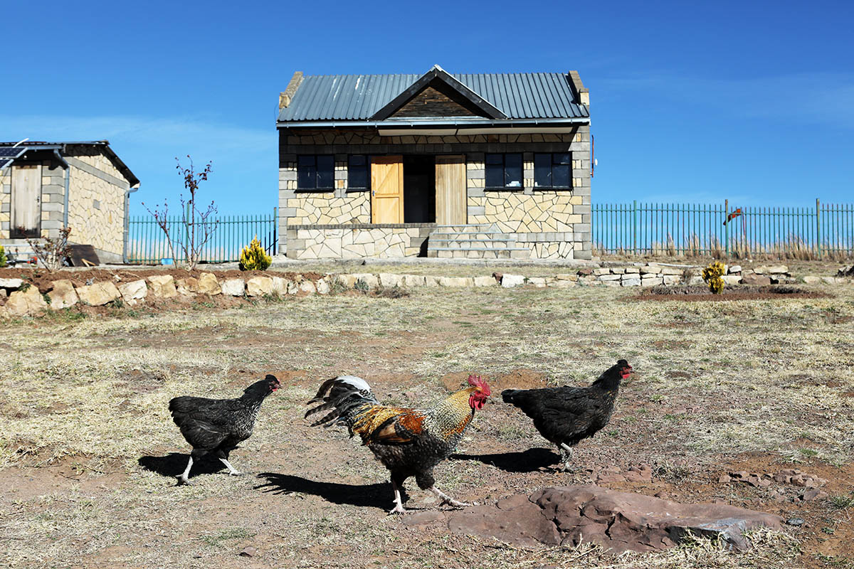 Chickens walk the grounds at Lebakeng.