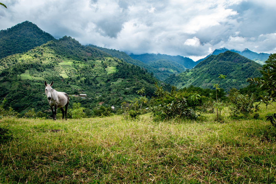 The rural community of Toquiancito lies on a steep hillside in Chiapas