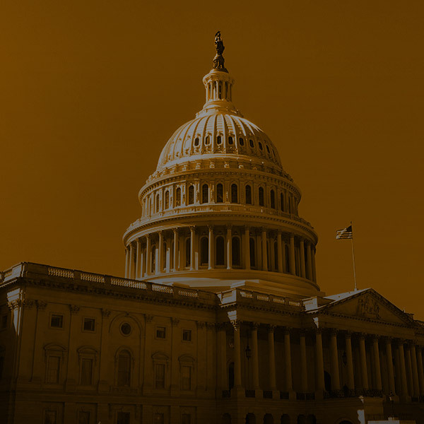 Tinted image of the US Capitol Building