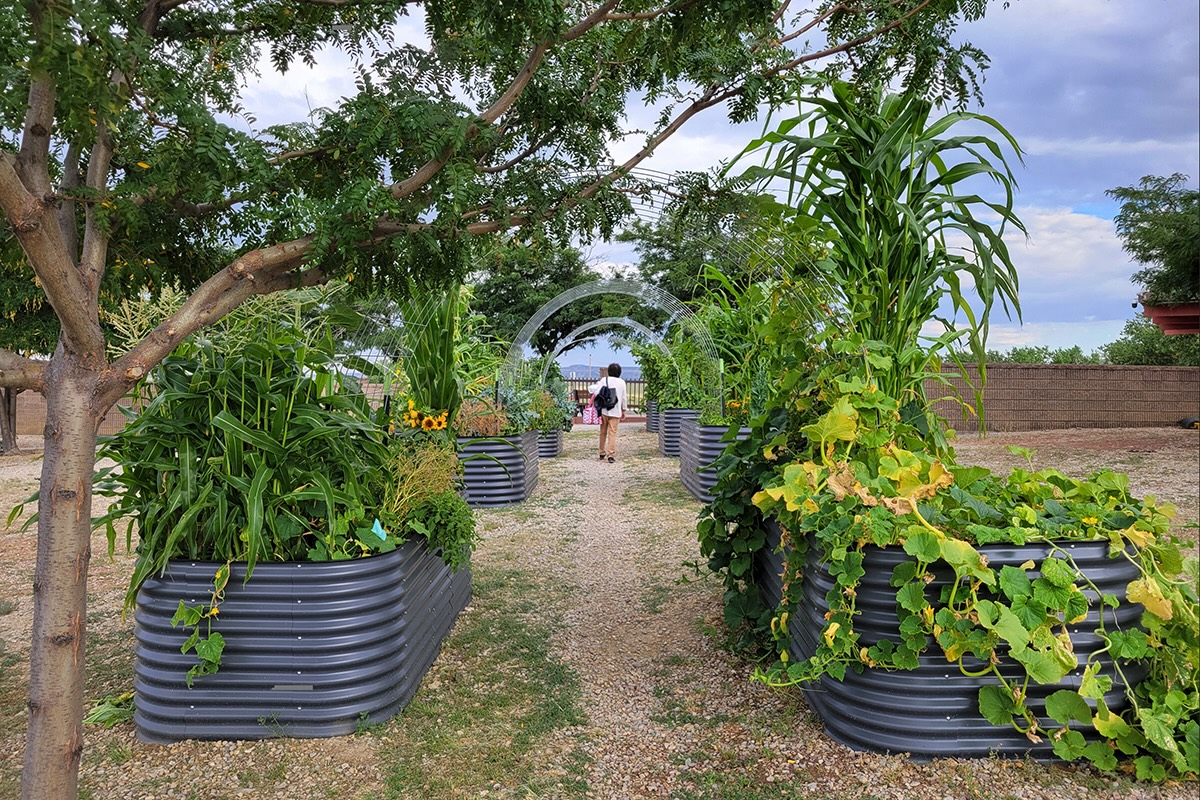 Gardens with archways and lots of greens overflowing from planters