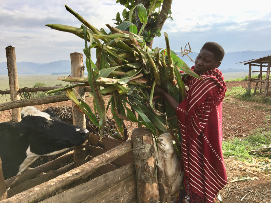 Françoise Umutesi works hard on her family's land in Butaro, Rwanda