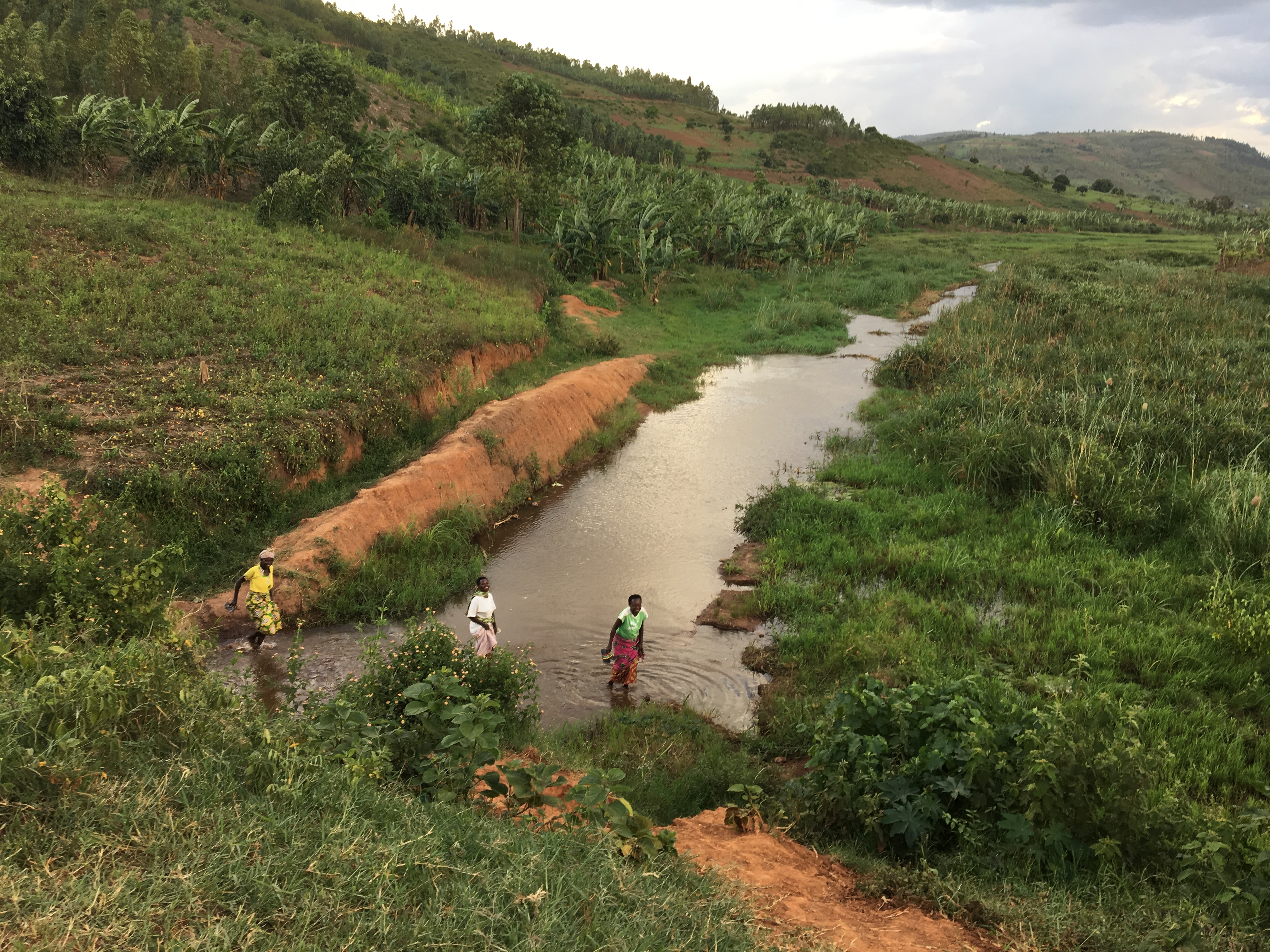 Wading across a heavily farmed stretch of the Kadiridimba River