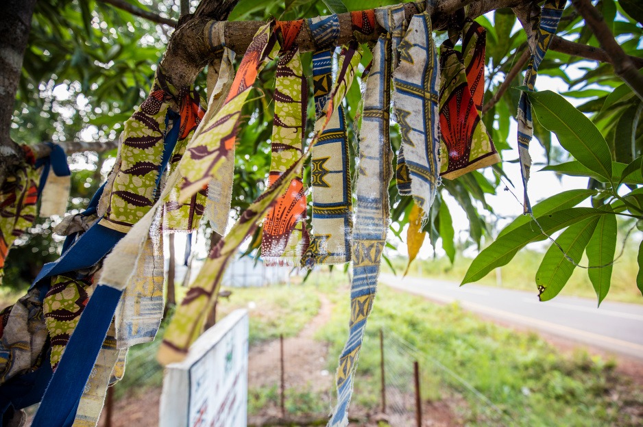 The survivor tree, outside of the old Maforki Ebola Treatment Unit, honors survivors of Ebola. Photo by Jon Lascher.