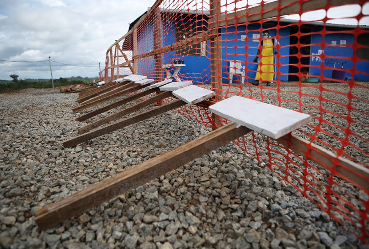 Updates from West Africa