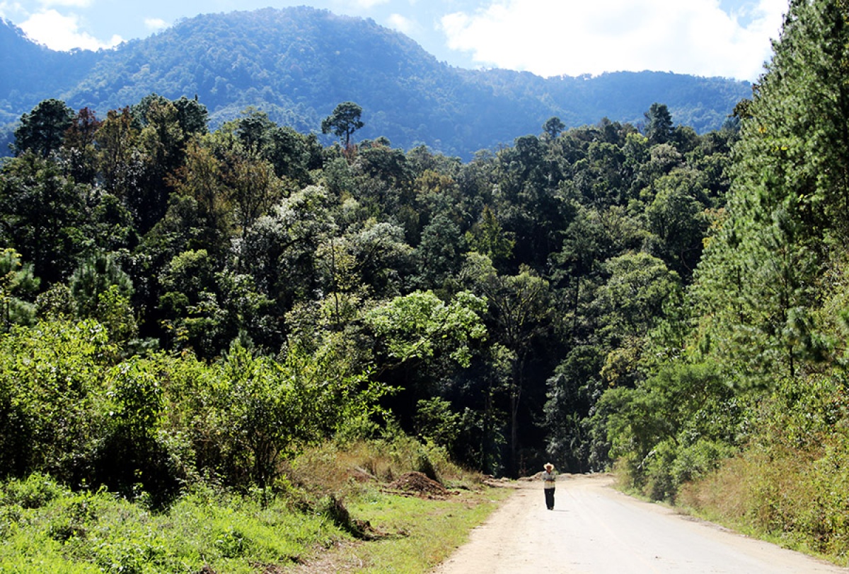Young Boy Overcomes Hodgkin Lymphoma in Mexico