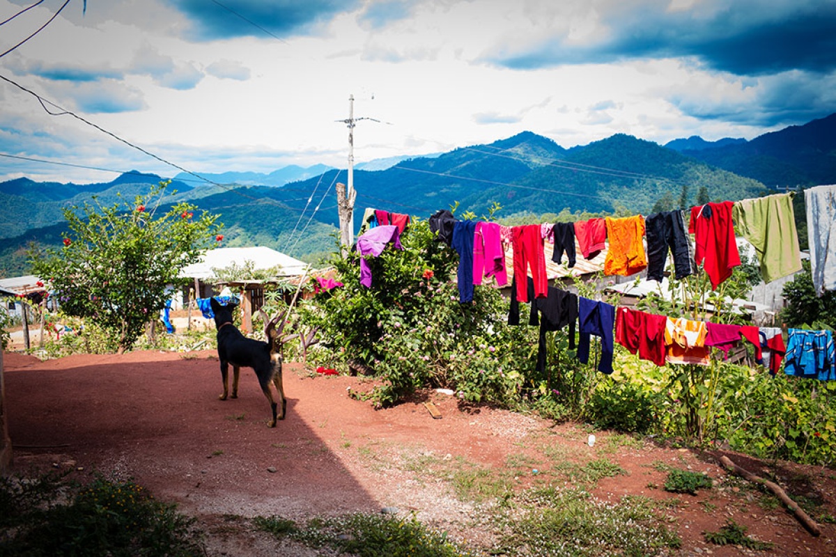 2015: The Year in Quotes