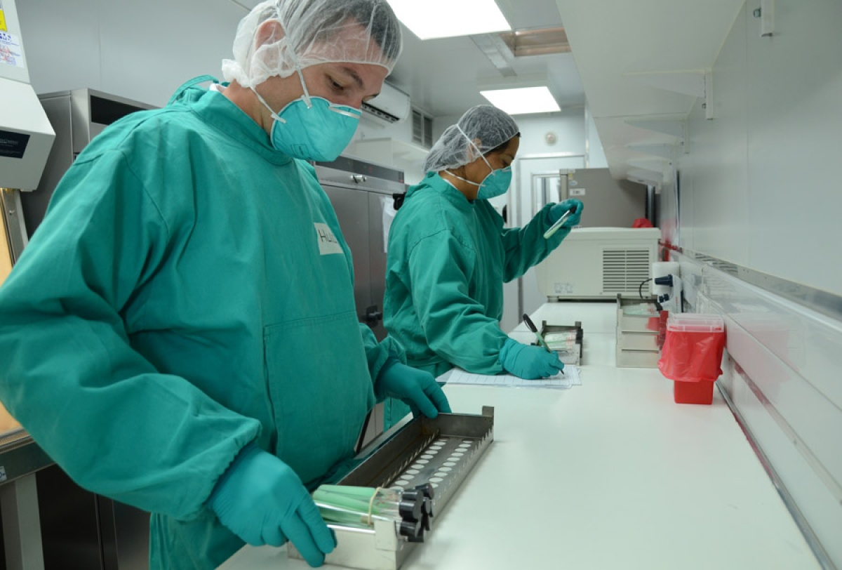 Harvard Study: Vitamin A Helps Protect Against TB