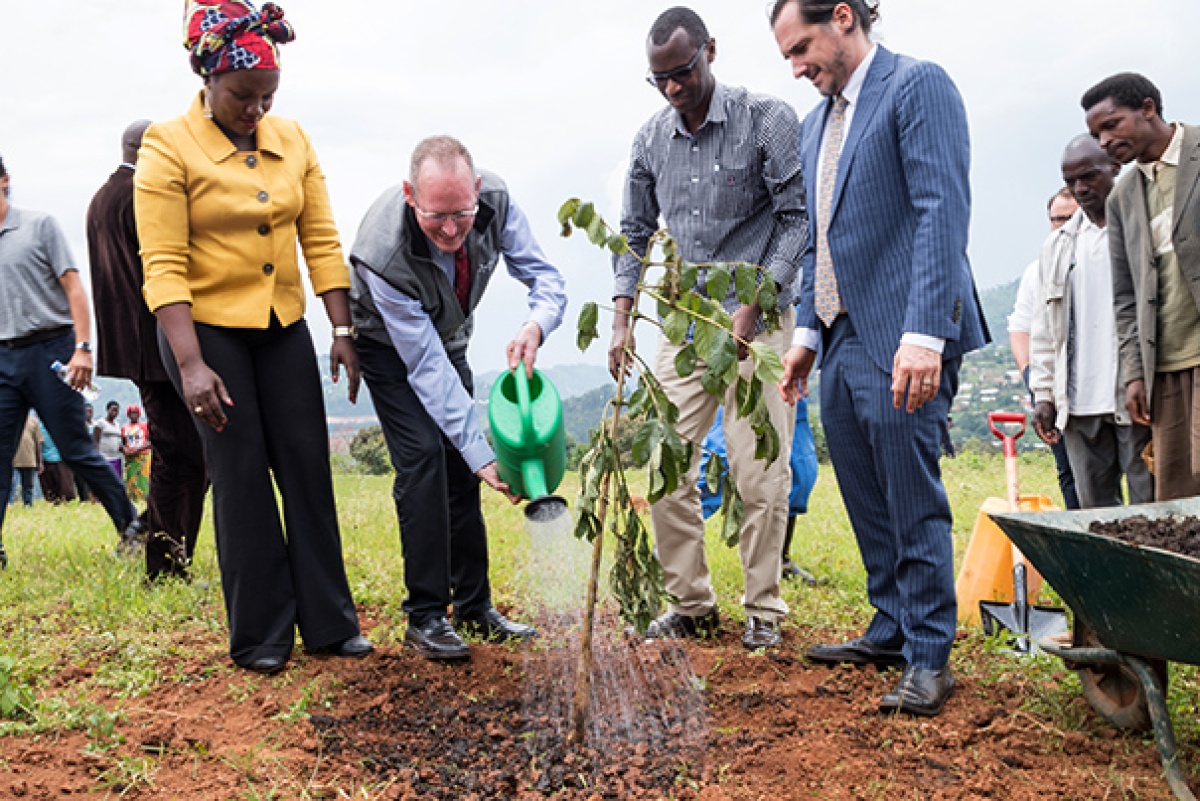 New Global Health University Takes Shape