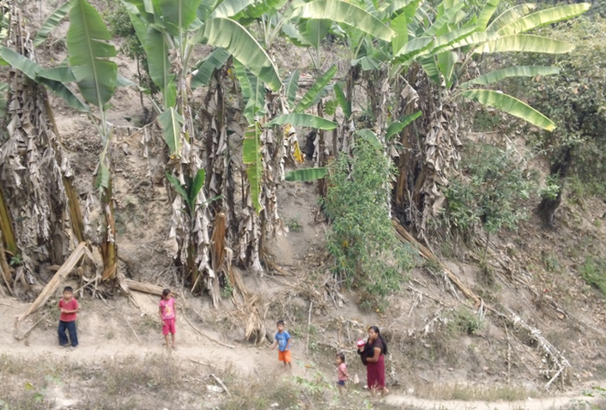 In Mexico, a Lebanese Medical Student Finds a Model of Excellence