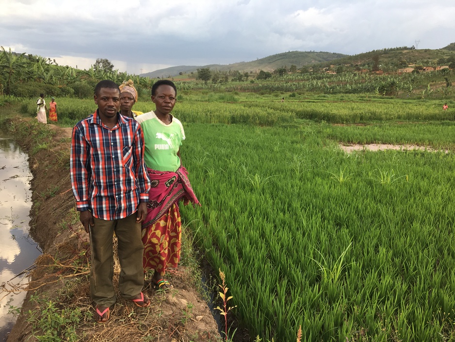 Rice Farming Program Combating Malnutrition in Rwanda | Partners In Health