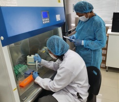 Lab professionals in Lima, Peru