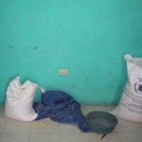 Sak Vid Pa Kanpe: The Impact of U.S. Food Aid on Human Rights in Haiti