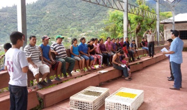 A Plan, 14 Hens, and a Rooster in Chiapas