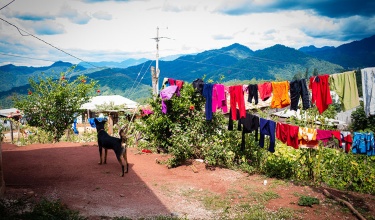 2015: The Year in Quotes