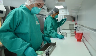 Harvard Study: Vitamin A Helps Protect Against TB Harvard Study: Vitamin A Helps Protect Against TB