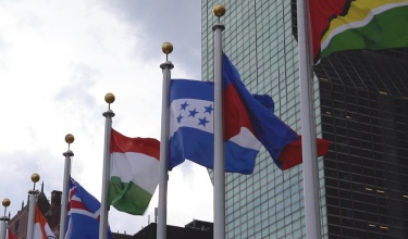 United Nations flags